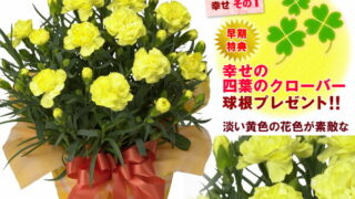 Thumbnail of post image 132