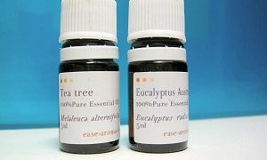 Thumbnail of post image 062