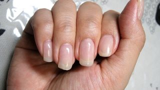 Thumbnail of post image 030