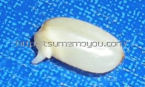 Thumbnail of post image 054