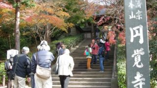 Thumbnail of post image 115