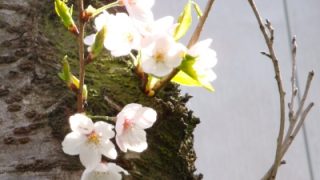 Thumbnail of post image 059