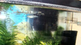 Thumbnail of post image 171