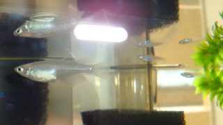 Thumbnail of post image 042