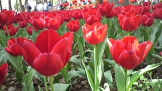 Thumbnail of post image 036