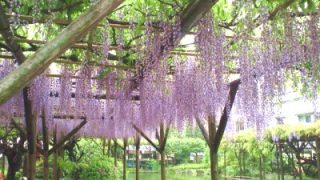 Thumbnail of post image 080