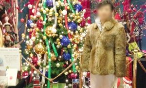 Thumbnail of post image 140