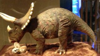 Thumbnail of post image 081