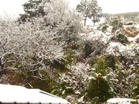 Thumbnail of post image 114