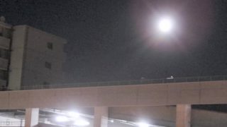 Thumbnail of post image 178