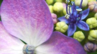 Thumbnail of post image 156