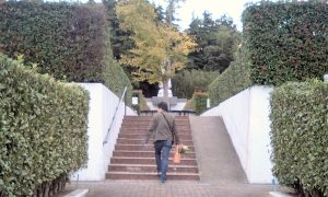 Thumbnail of post image 000