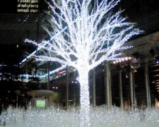 Thumbnail of post image 064