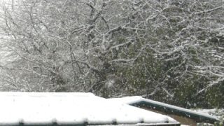 Thumbnail of post image 124