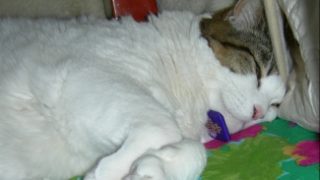 Thumbnail of post image 010