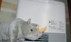 Thumbnail of post image 103