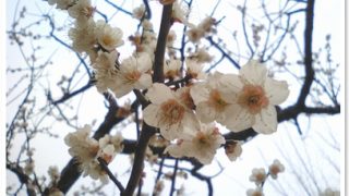 Thumbnail of post image 018