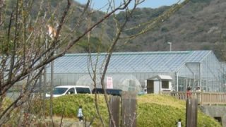 Thumbnail of post image 102