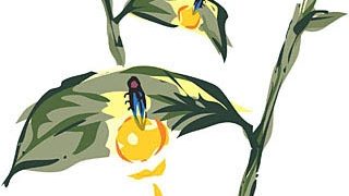 Thumbnail of post image 137