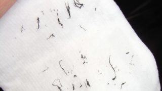 Thumbnail of post image 001