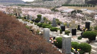 Thumbnail of post image 137