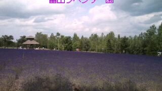 Thumbnail of post image 176