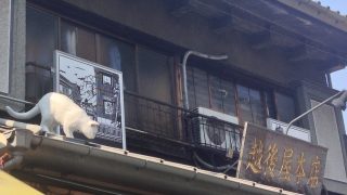 Thumbnail of post image 065