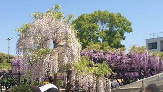 Thumbnail of post image 181