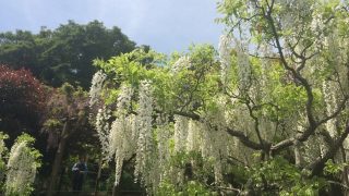 Thumbnail of post image 095