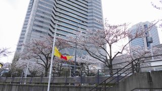 Thumbnail of post image 049