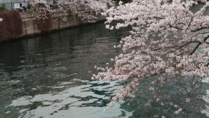 Thumbnail of post image 009