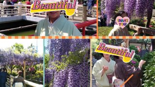 Thumbnail of post image 180