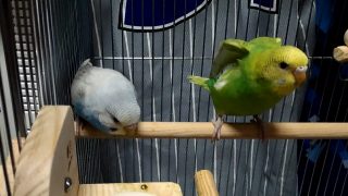 Thumbnail of post image 000