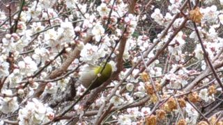 Thumbnail of post image 179