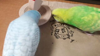 Thumbnail of post image 073