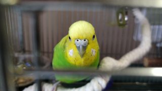 Thumbnail of post image 039