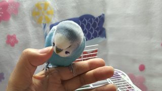 Thumbnail of post image 095