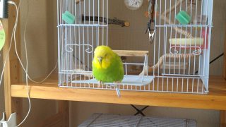 Thumbnail of post image 114