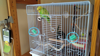 Thumbnail of post image 176