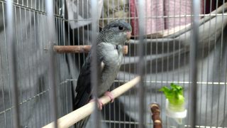 Thumbnail of post image 017