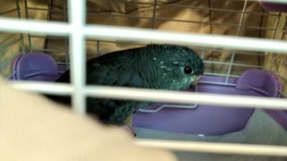 Thumbnail of post image 054