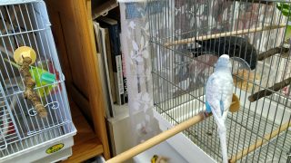 Thumbnail of post image 035