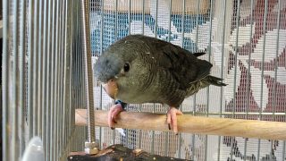 Thumbnail of post image 192