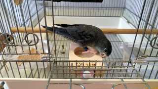 Thumbnail of post image 148