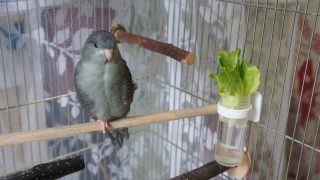 Thumbnail of post image 136