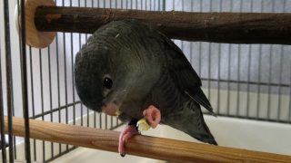 Thumbnail of post image 012