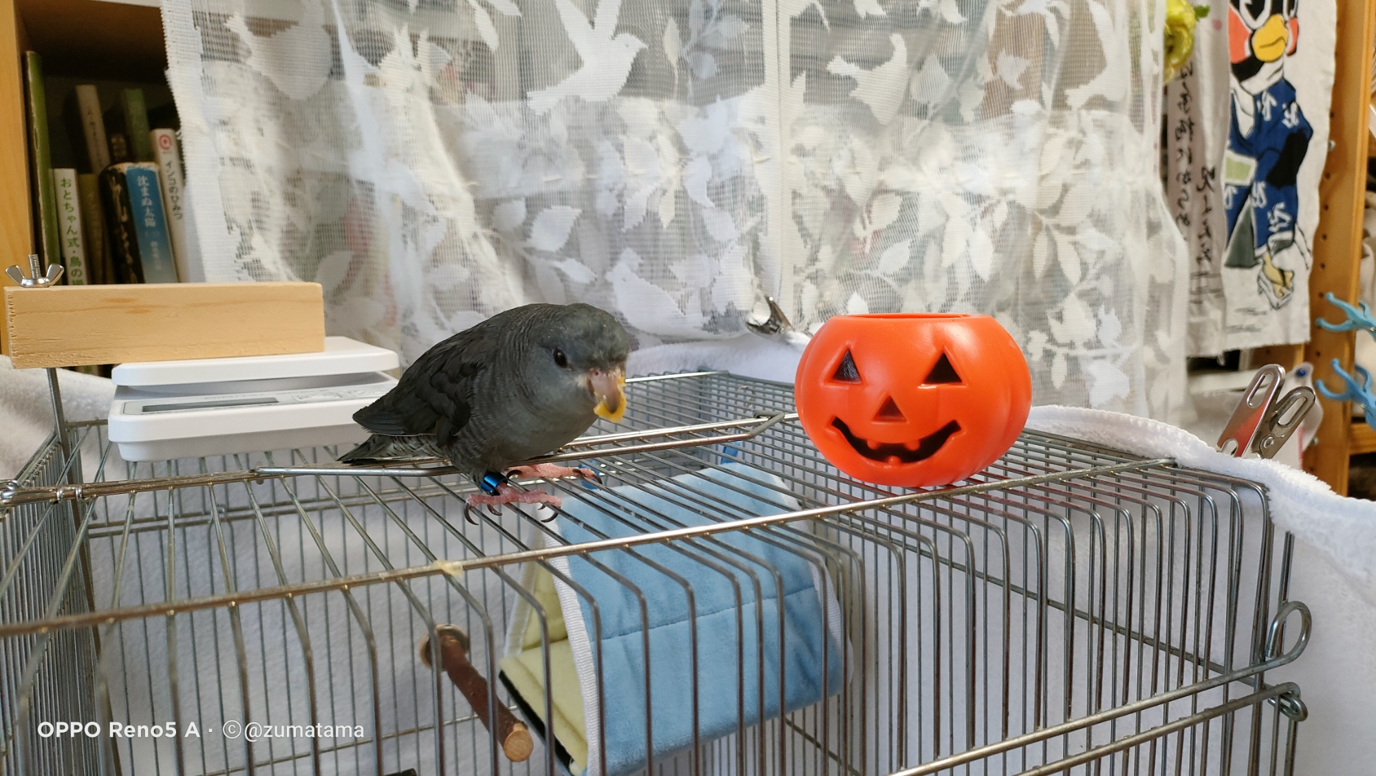 Thumbnail of post image 096