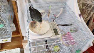 Thumbnail of post image 118