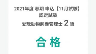 Thumbnail of post image 114