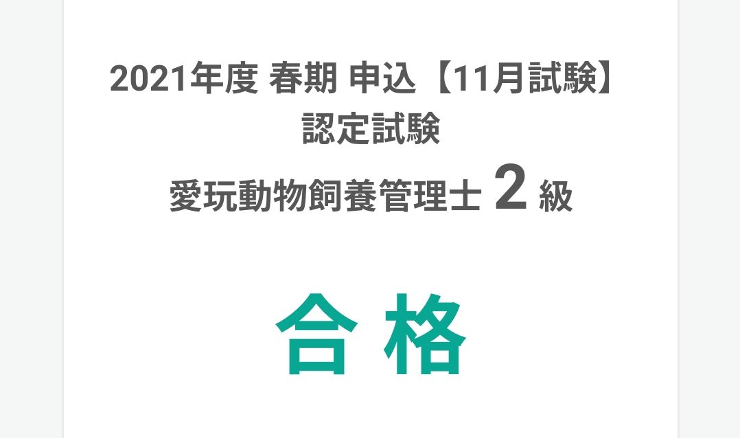 愛玩動物飼養管理士2級を受験しました つめもよう